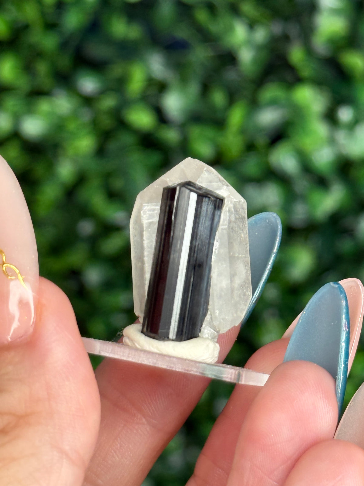Black Tourmaline with Quartz Specimen — Skardu Valley, Pakistan J