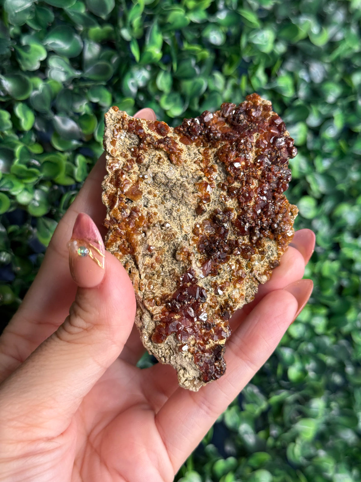 Andradite garnet from Nusa Tenggara Timur - Indonesia - F