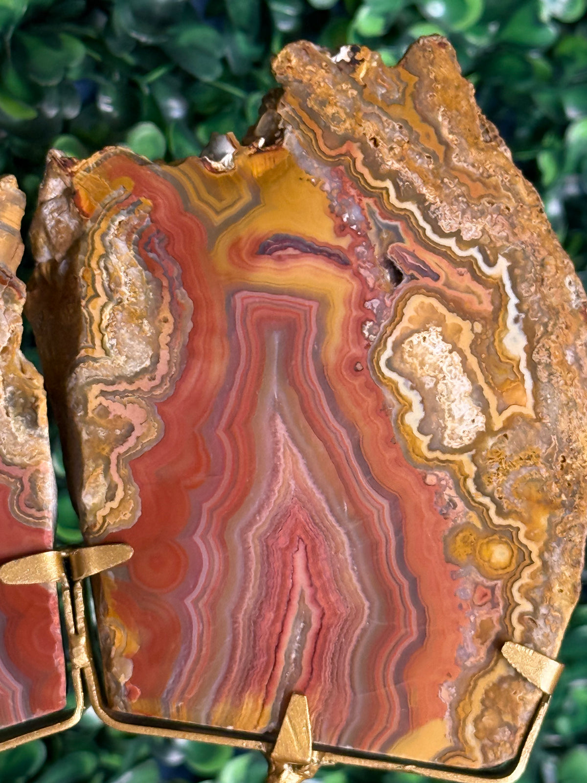 Colourful Crazy Lace Agate Slab Pair from Indonesia - L