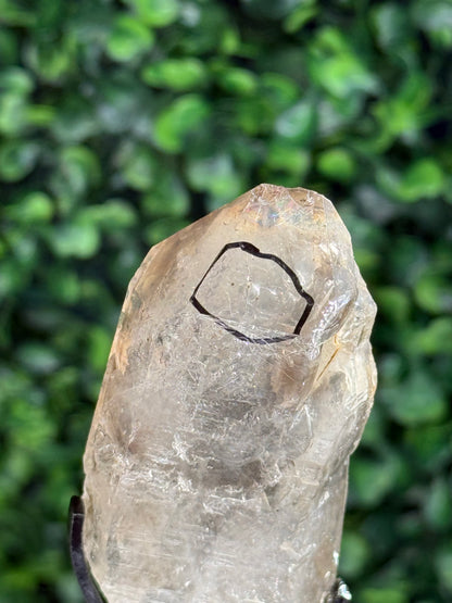 Super Visible raw Smokey Quartz Enhydro with custom stand