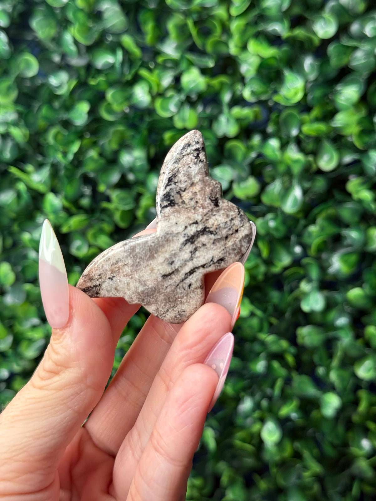Zebra Jasper Mini Butterfly Crystal Carvings - Pakistan