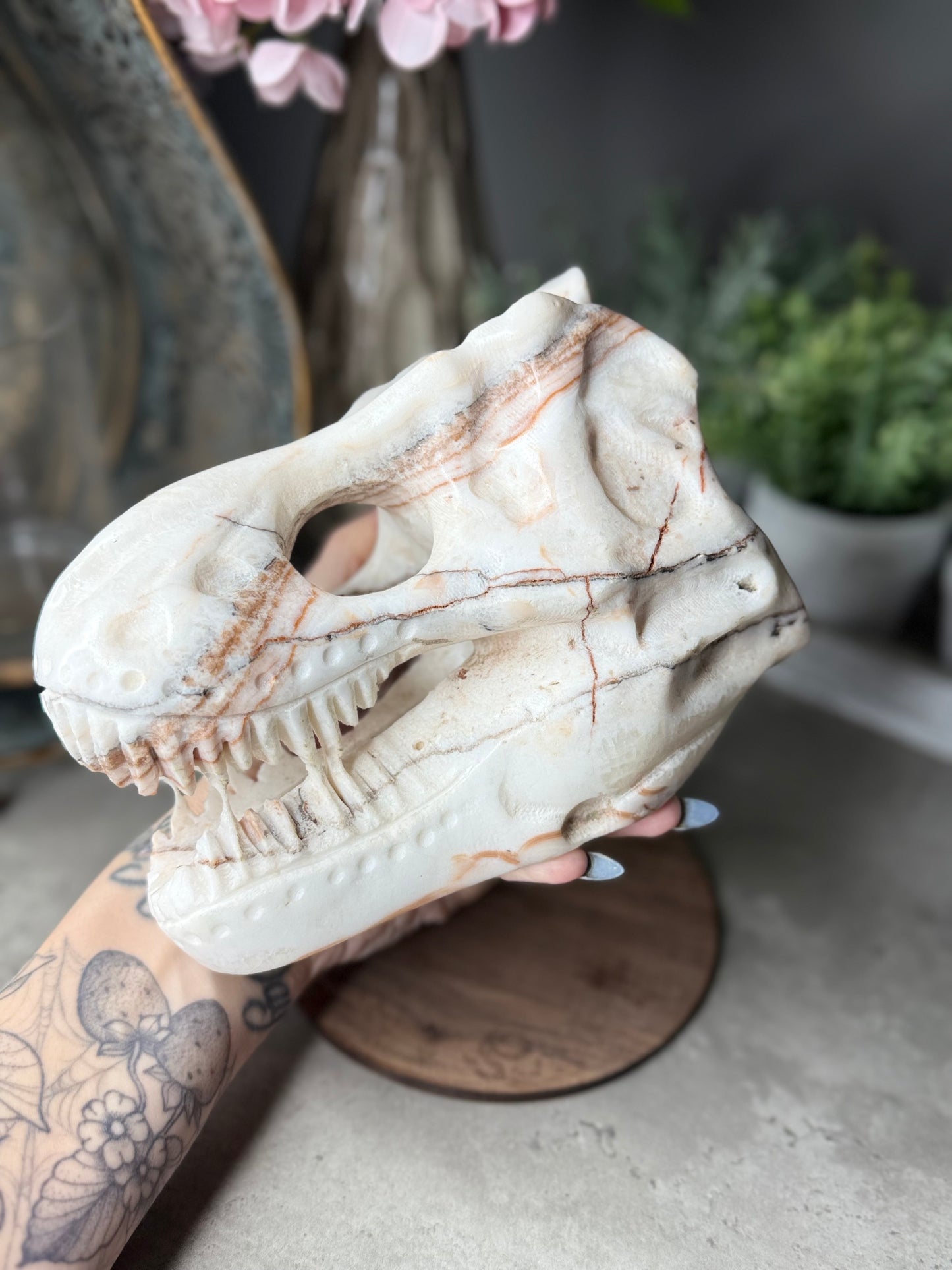 Red Banded Calcite T-Rex Skull