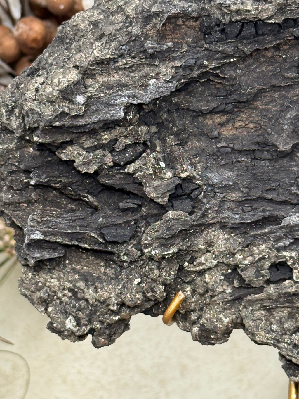 Pyritized Petrified Wood from Indonesia - A