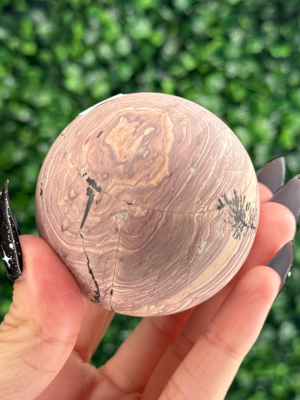 Pink Picture Jasper Spheres F