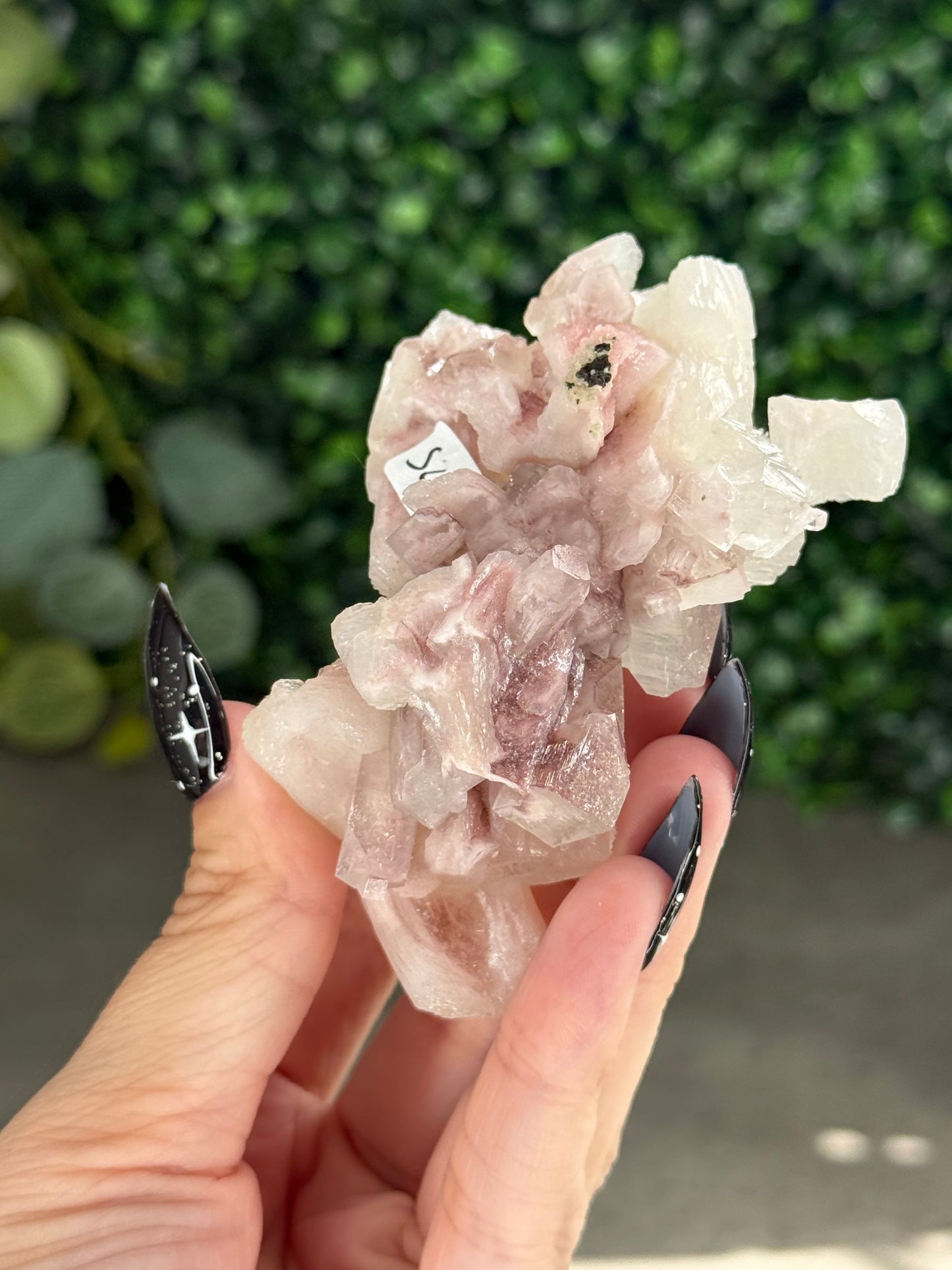 Pink & Green Apophyllite Specimens - S