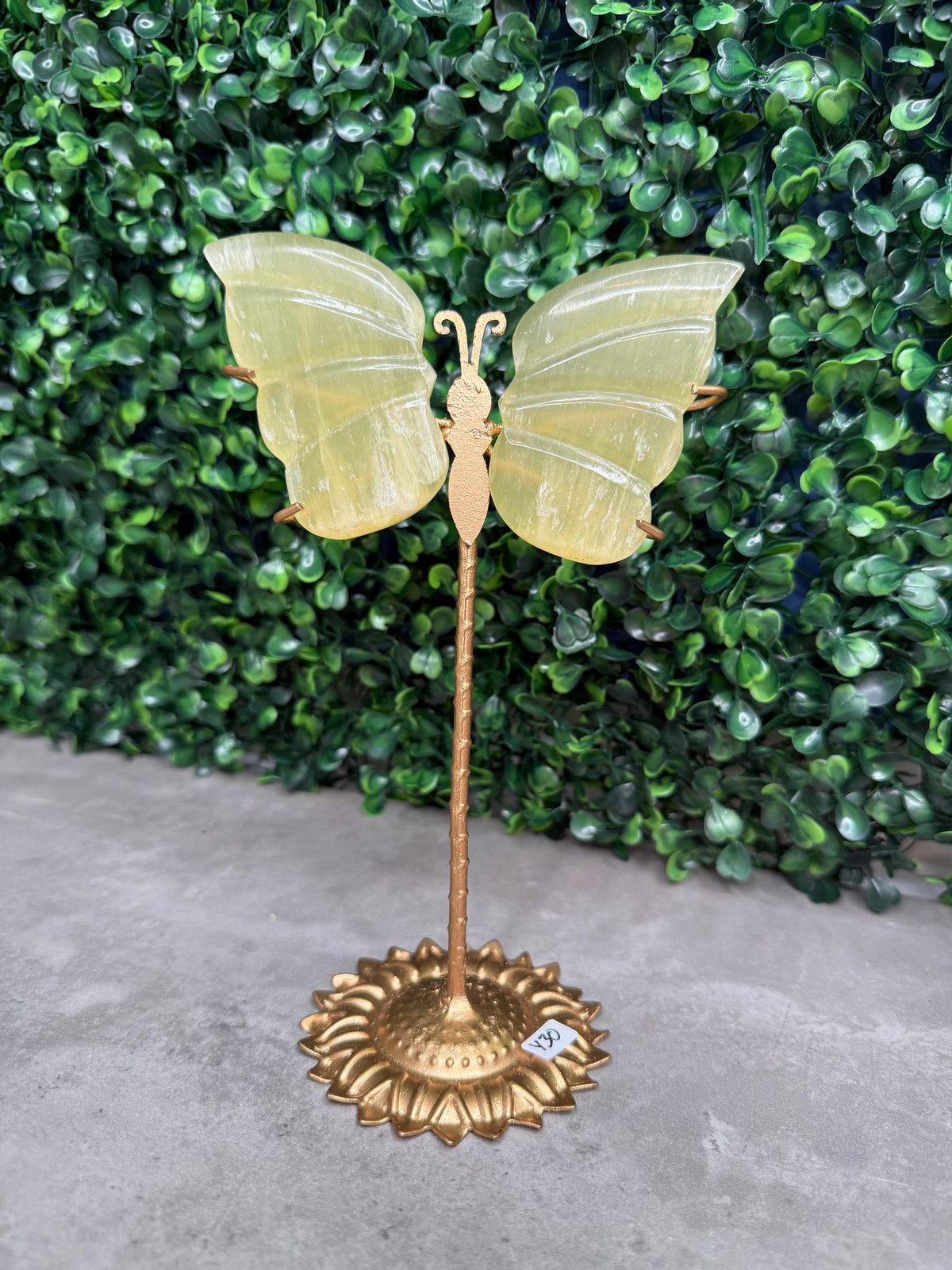 Lemon Calcite Butterfly Wings Crystal Carvings from Pakistan