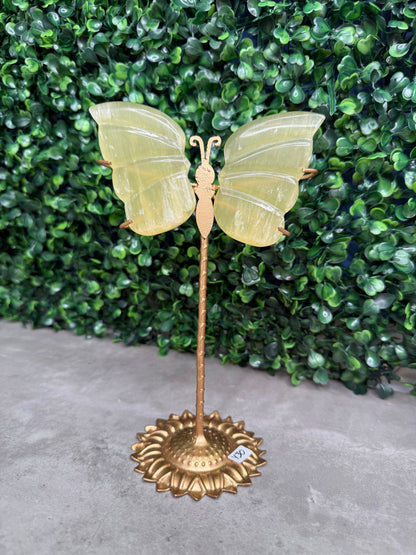 Lemon Calcite Butterfly Wings Crystal Carvings from Pakistan