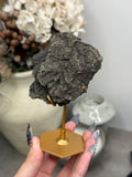 Pyritized Petrified Wood from Indonesia - E