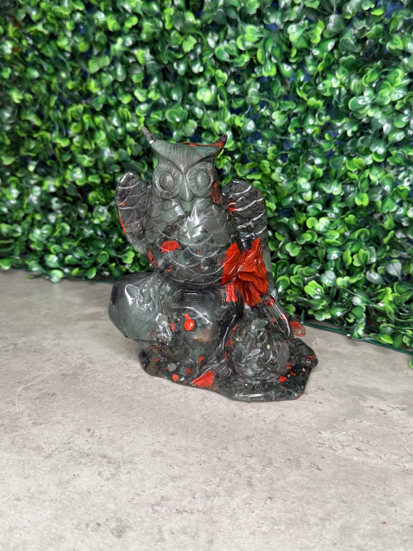 African Bloodstone Large Owl Crystal Carvings 744g