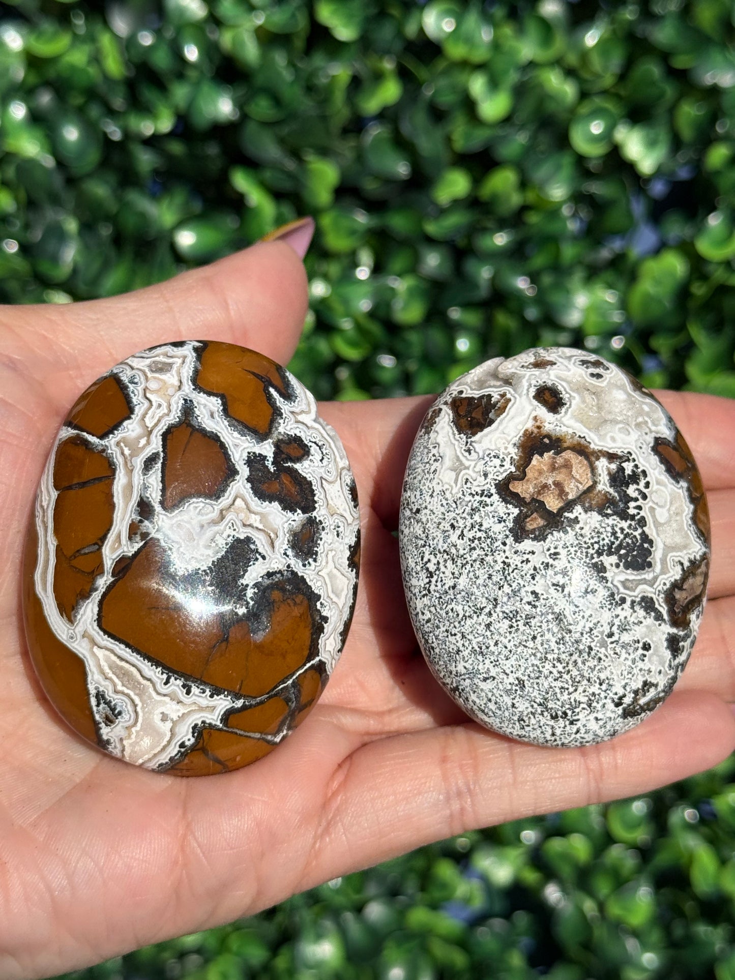 Brecciated Jasper Druzy Palmstones - Indonesia