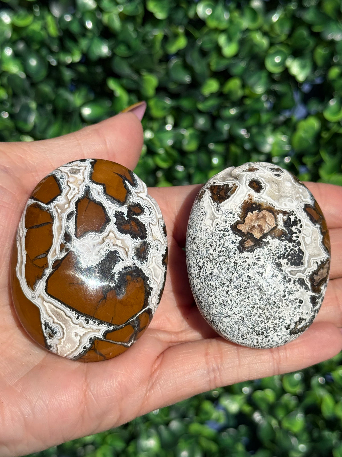 Brecciated Jasper Druzy Palmstones - Indonesia