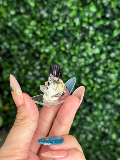 Black Tourmaline (Schorl) Specimen with Albite & Quartz — Skardu Valley, Pakistan - A