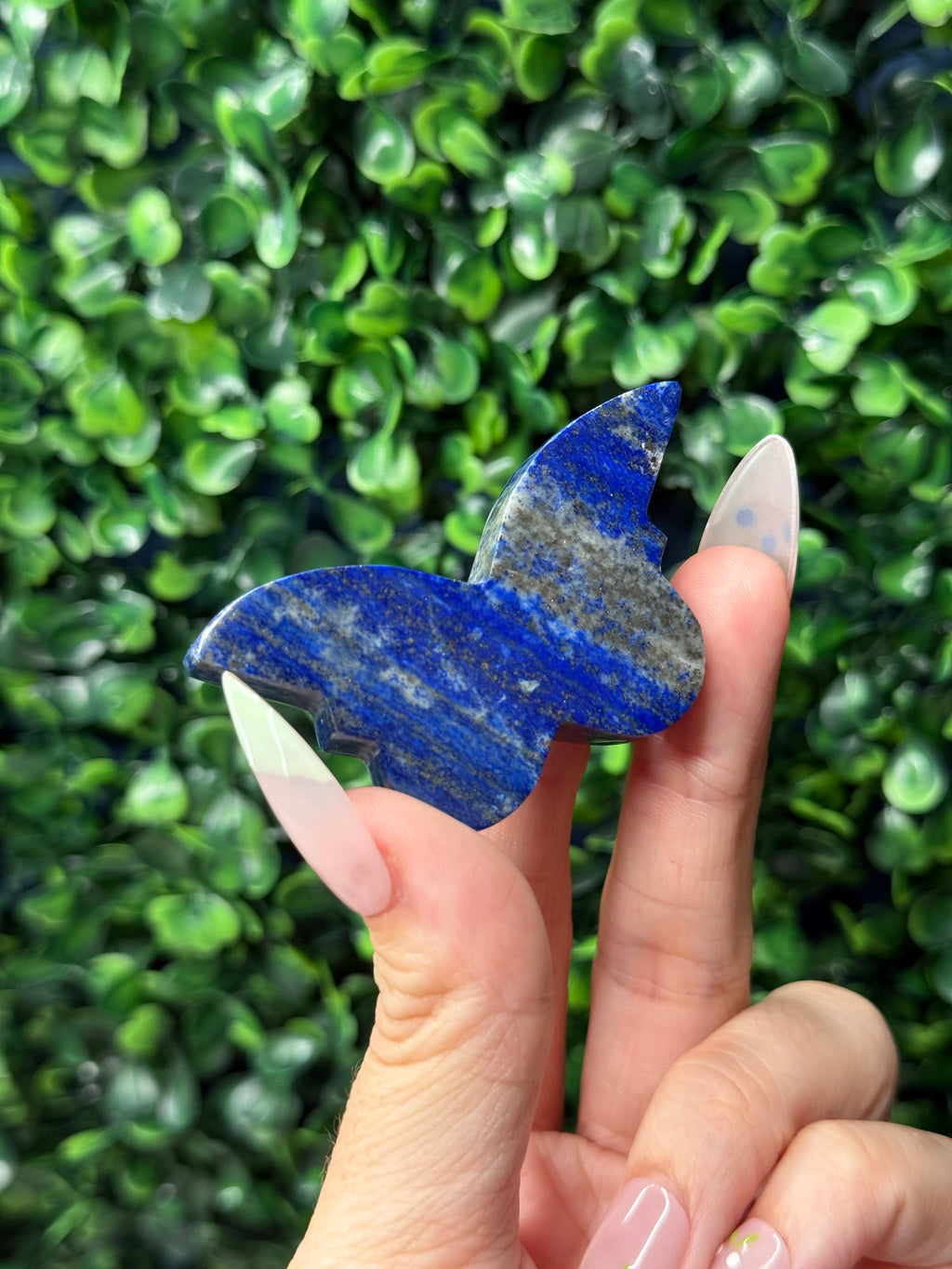 Lapis Lazuli Mini Butterfly Crystal Carvings - Afghanistan
