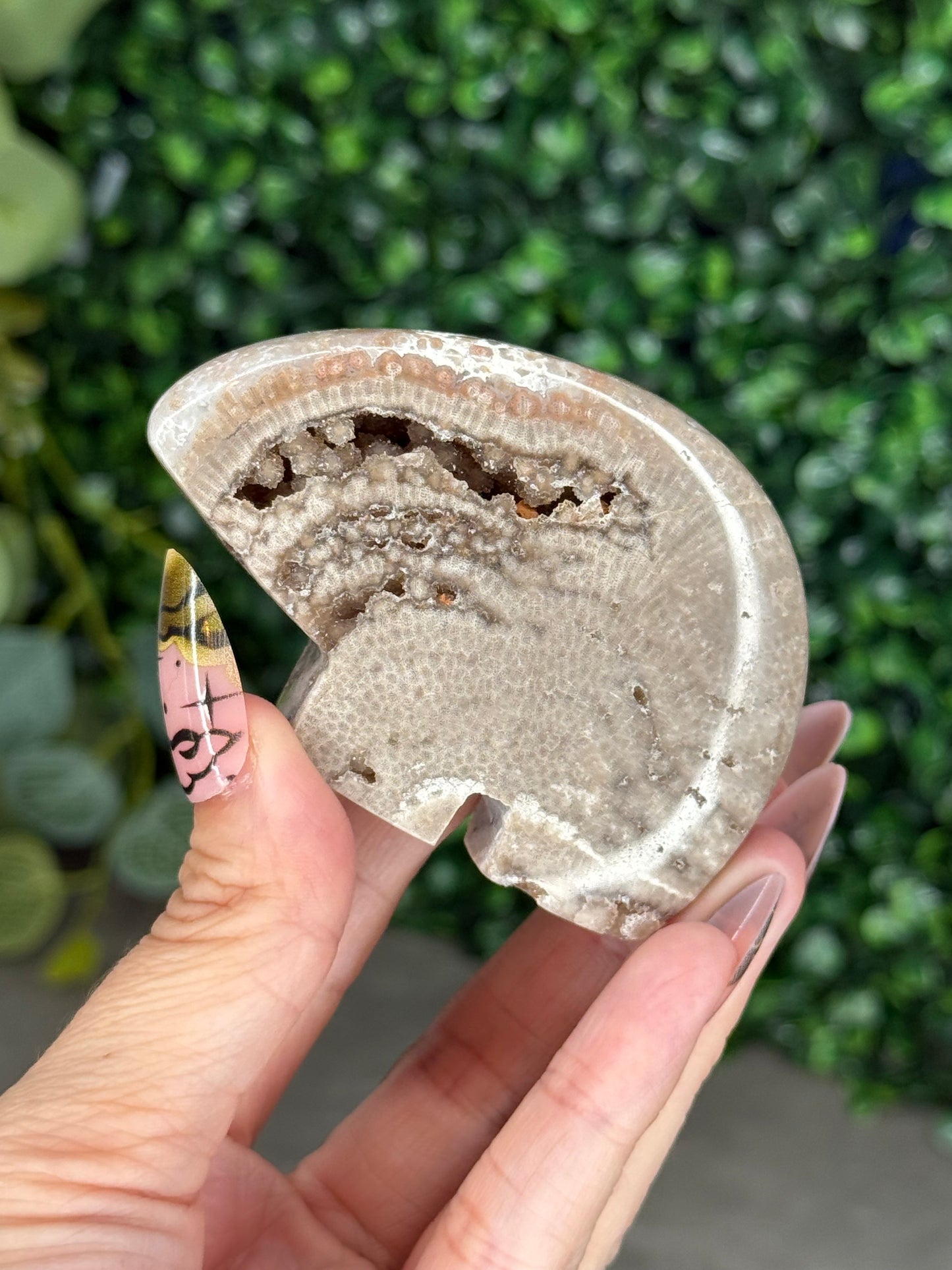 Chocolate Ocean Jasper Bear Crystal Carving