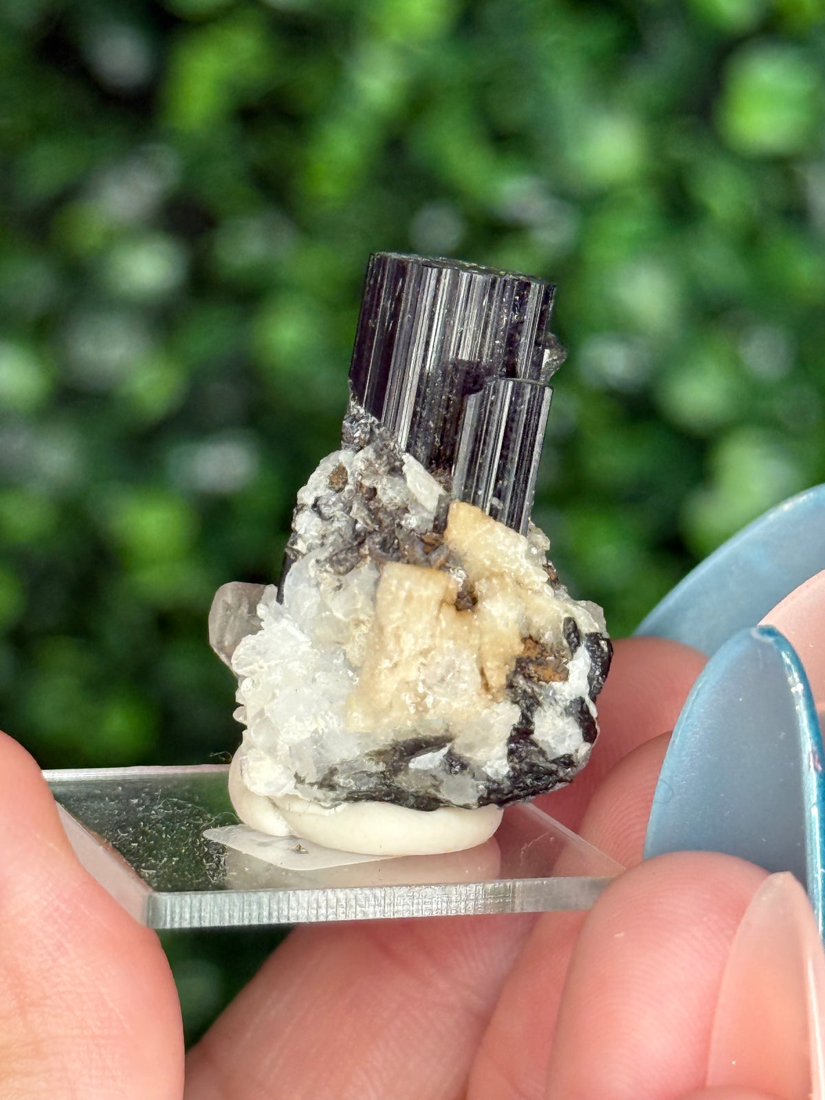 Black Tourmaline (Schorl) Specimen with Albite & Quartz — Skardu Valley, Pakistan - A