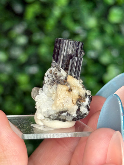 Black Tourmaline (Schorl) Specimen with Albite & Quartz — Skardu Valley, Pakistan - A