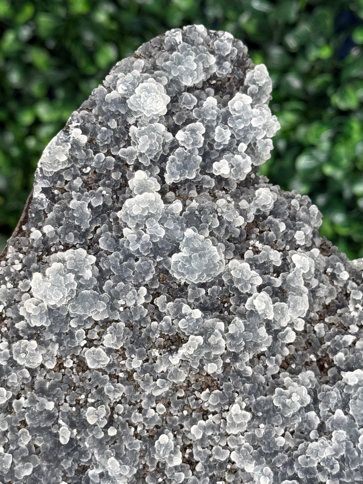 Black Chalcedony Crystal Specimen P
