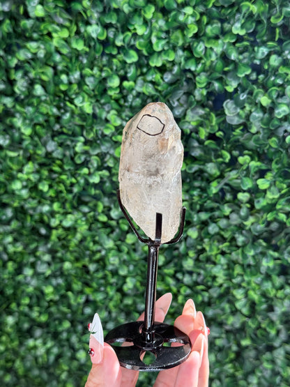 Super Visible raw Smokey Quartz Enhydro with custom stand