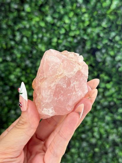 Raw Rose Quartz Crystal From Colorado USA J