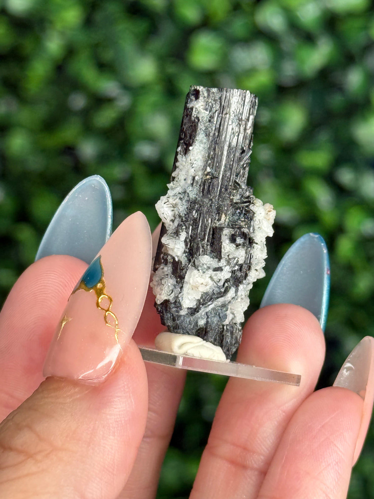 Black Tourmaline with Albite Specimen Skardu Valley, Pakistan E