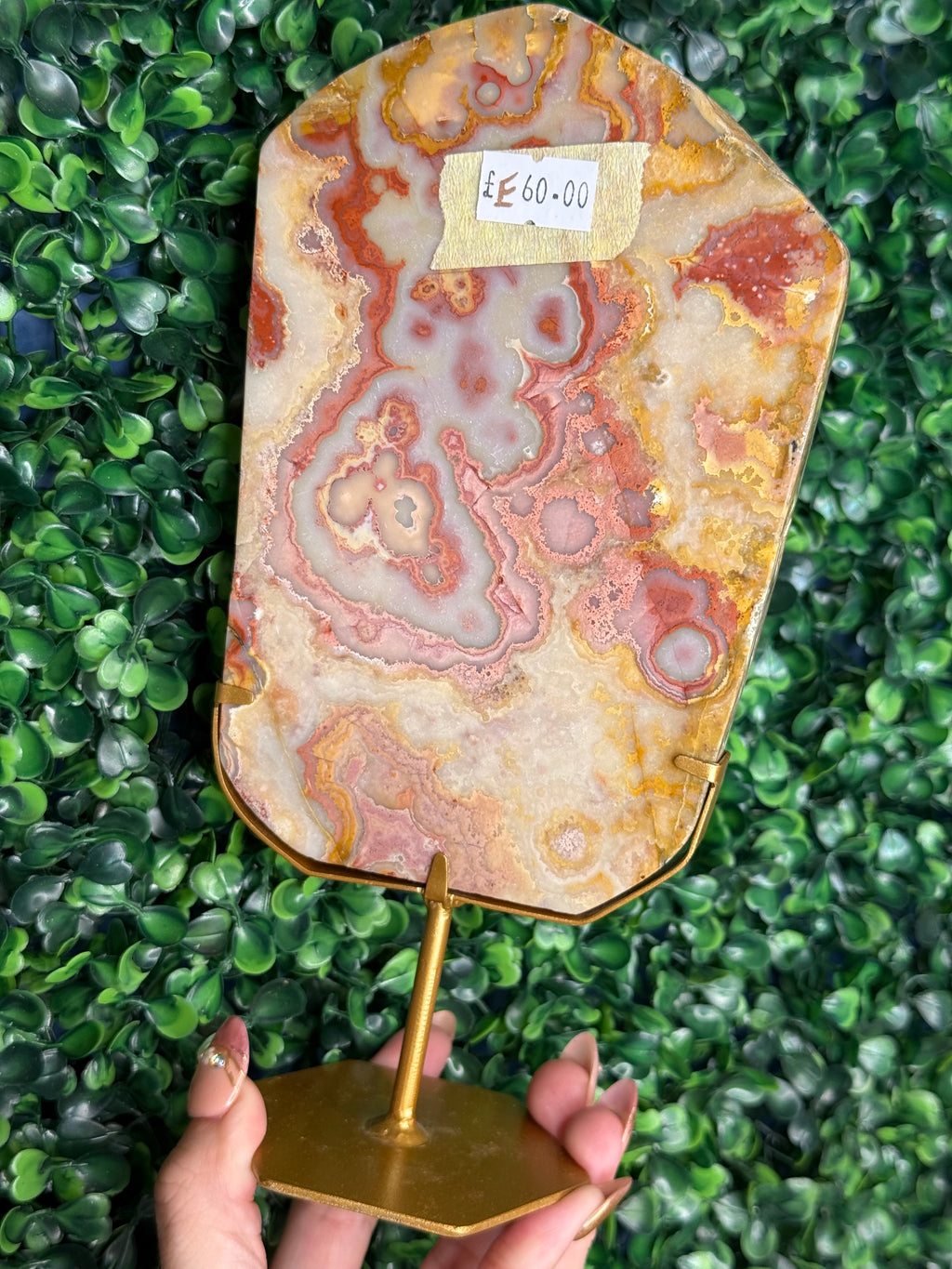 Colourful Crazy Lace Agate Slab from Indonesia E