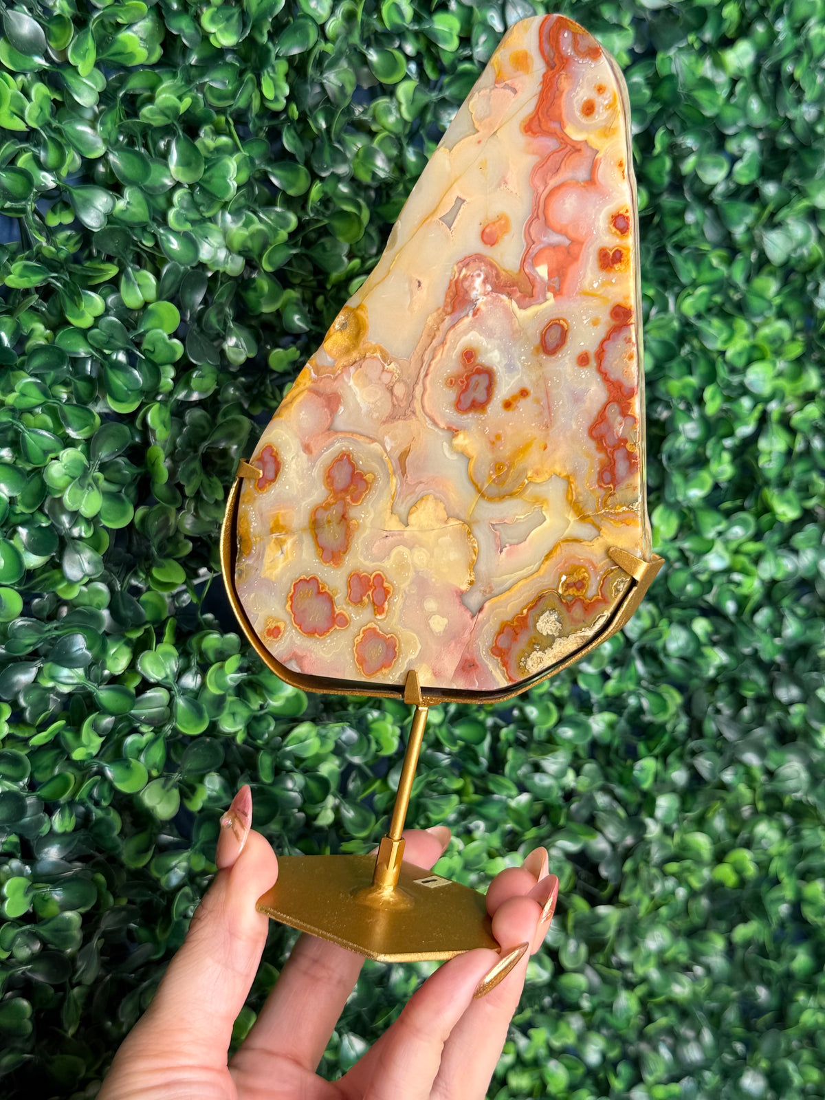 Colourful Crazy Lace Agate Slab from Indonesia A