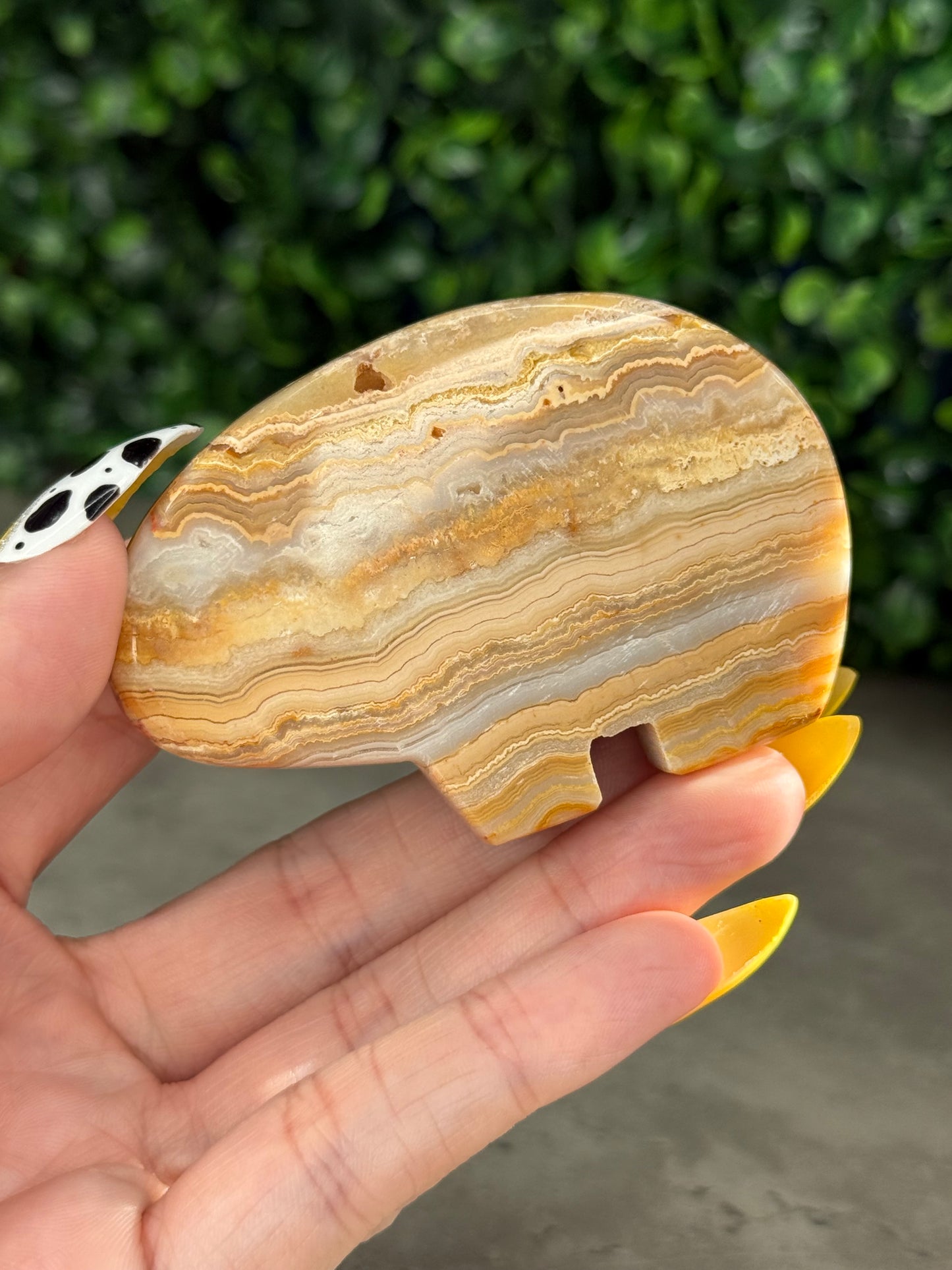 Yellow Crazy Lace Agate Bear Crystal Carvings - Indonesia