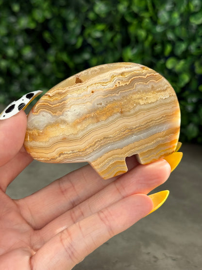 Yellow Crazy Lace Agate Bear Crystal Carvings - Indonesia