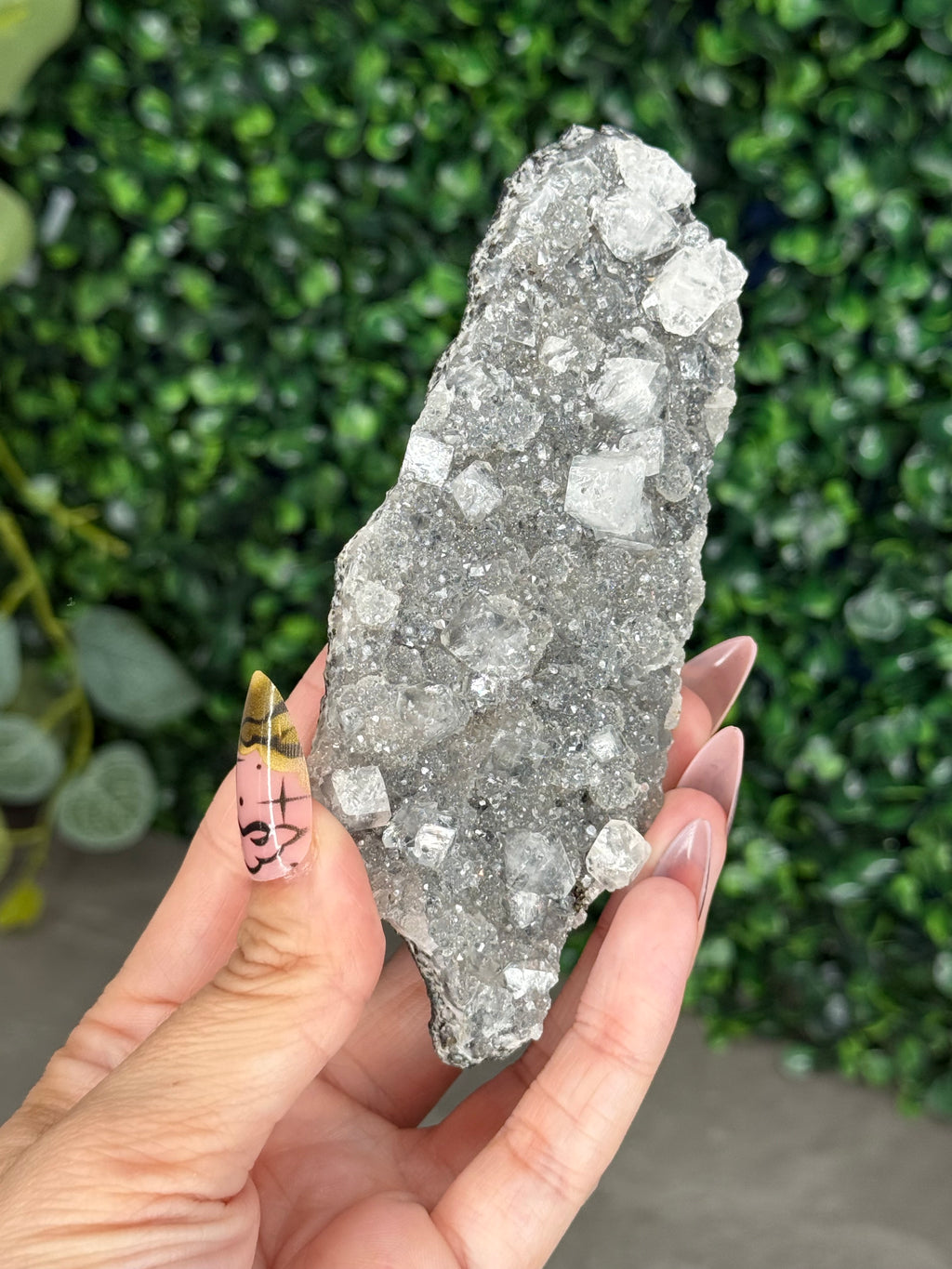 Black Chalcedony with Apophyllite M