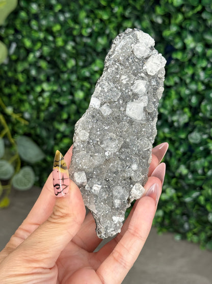 Black Chalcedony with Apophyllite M