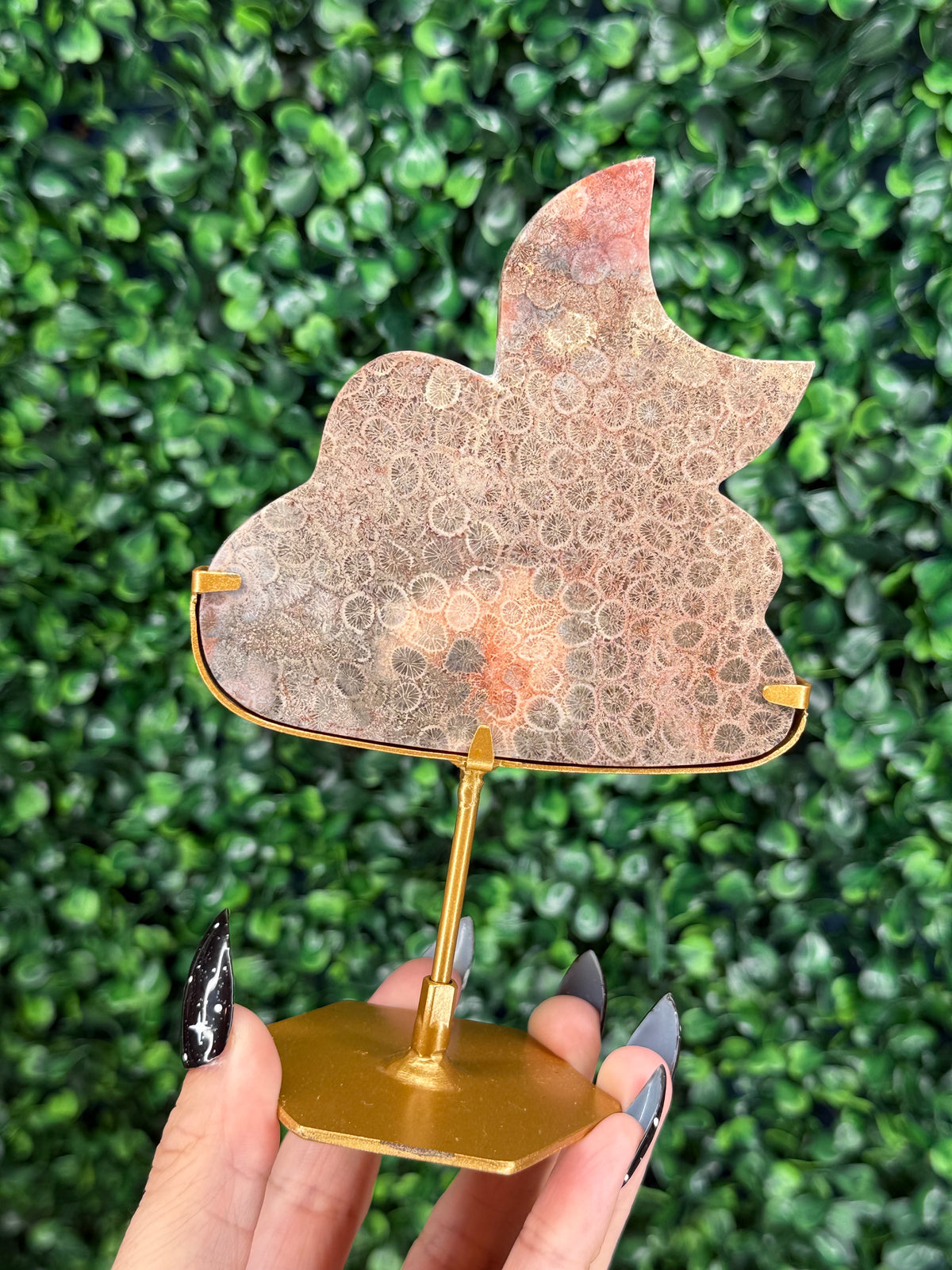 Pink Fossil Coral Cloud & Moon Crystal Carving - A