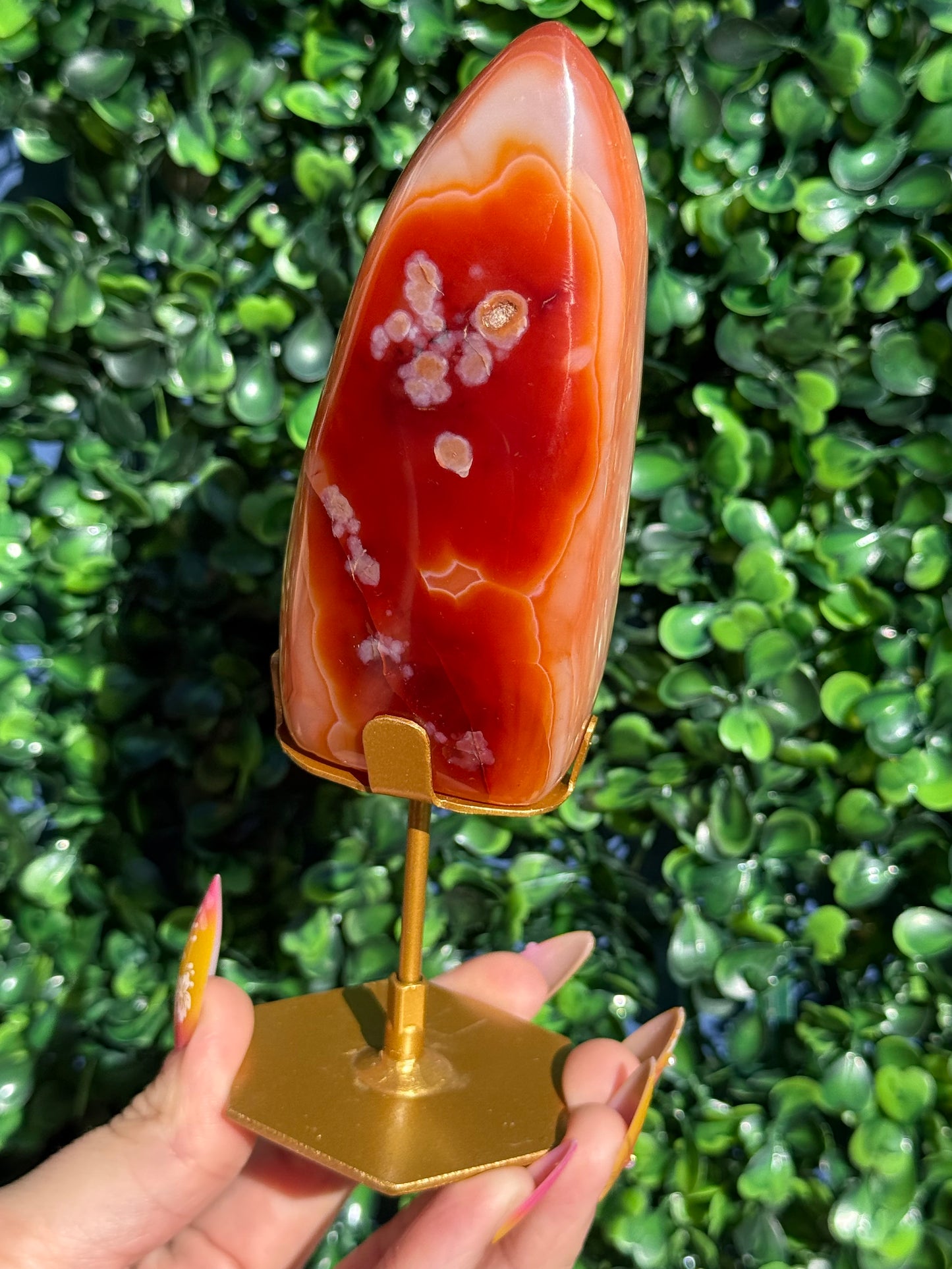 Carnelian Freeform Crystal Carvings - Indonesia