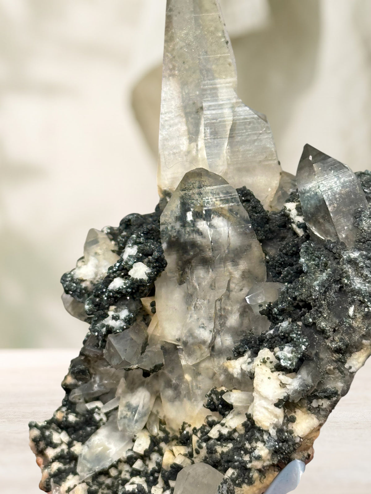 Crystal Glade laser quartz specimen from Pakistan featuring clear, slender, tapering crystals on a dark mineral matrix.