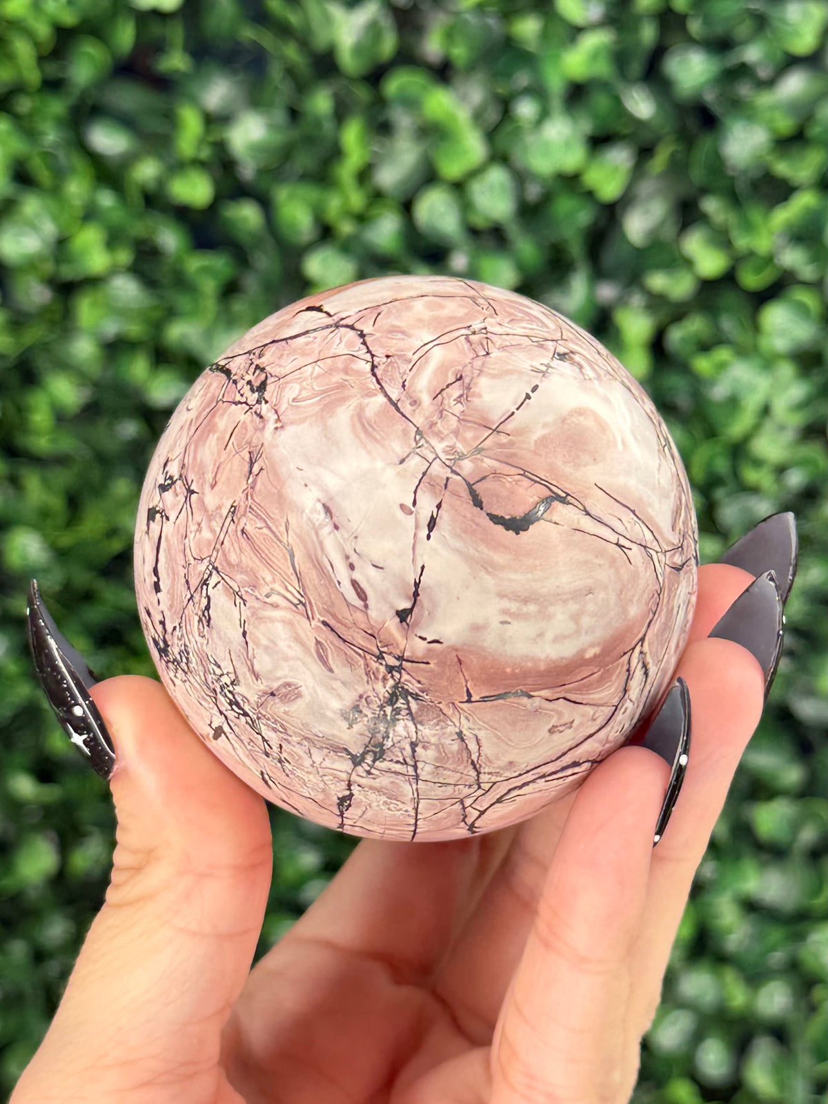 Pink Picture Jasper Spheres B