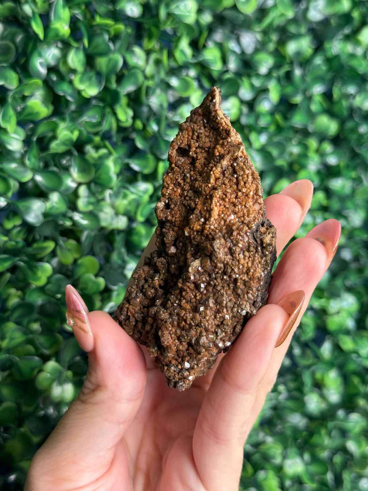 Andradite garnet from Nusa Tenggara Timur - Indonesia - D