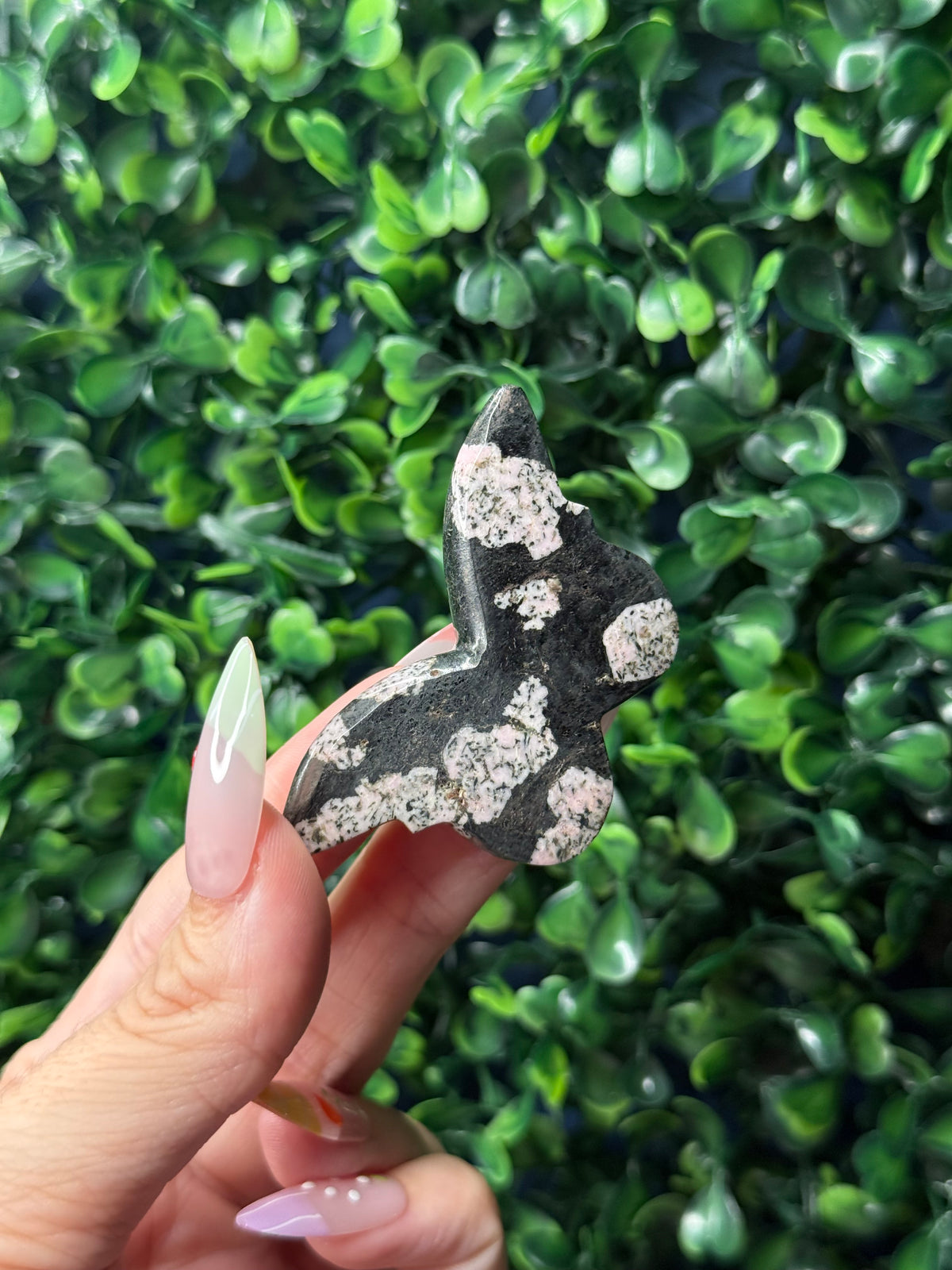 Snowflake Obsidian Mini Butterfly Crystal Carvings - Pakistan