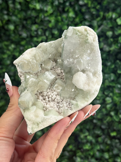 Green Apophyllite with Mordenite Crystal Specimen from India 400g
