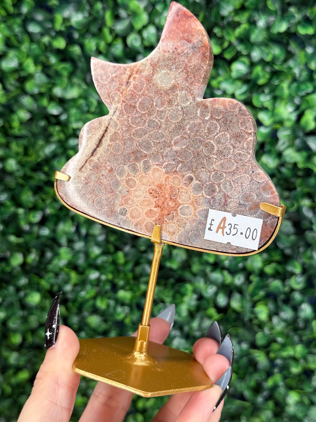 Pink Fossil Coral Cloud & Moon Crystal Carving - A