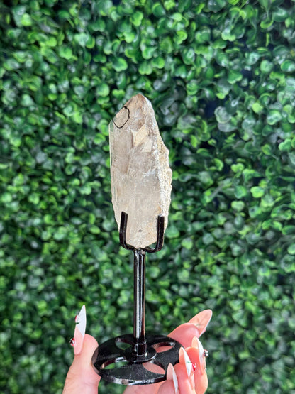 Super Visible raw Smokey Quartz Enhydro with custom stand