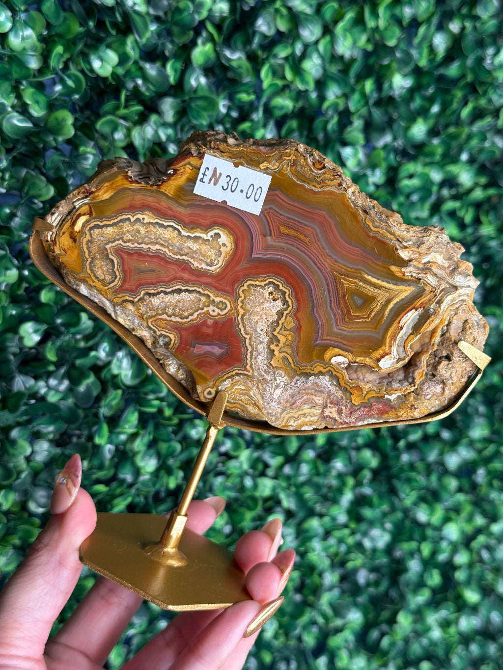 Colourful Crazy Lace Agate Slab from Indonesia - N