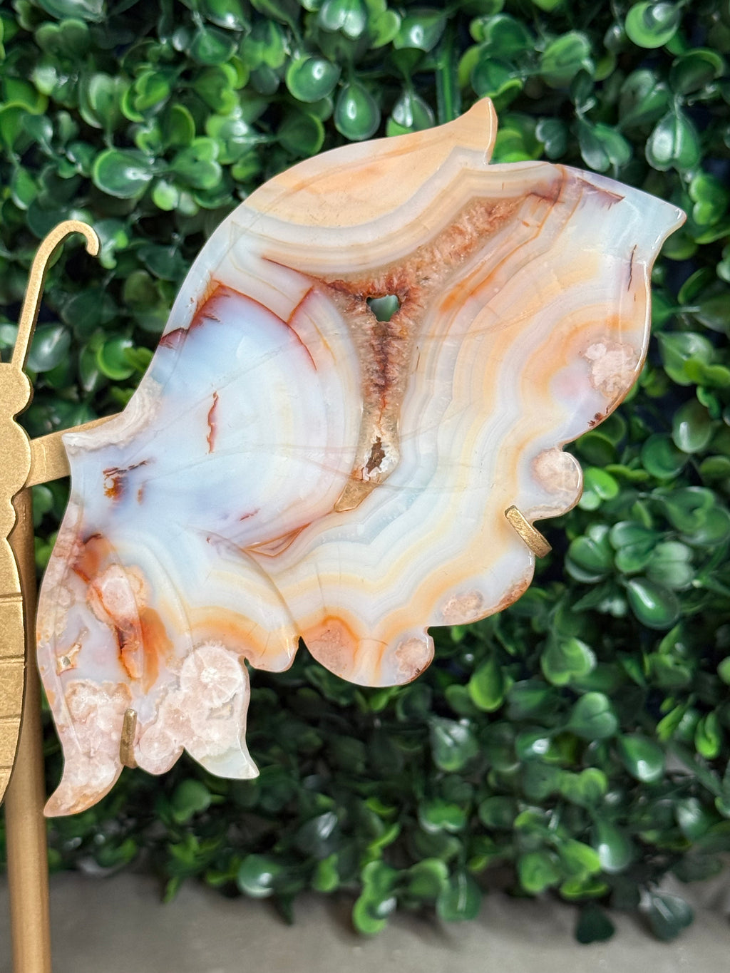 Carnelian Flower Agate Butterfly Wings Crystal Carvings - Medium Size - Z