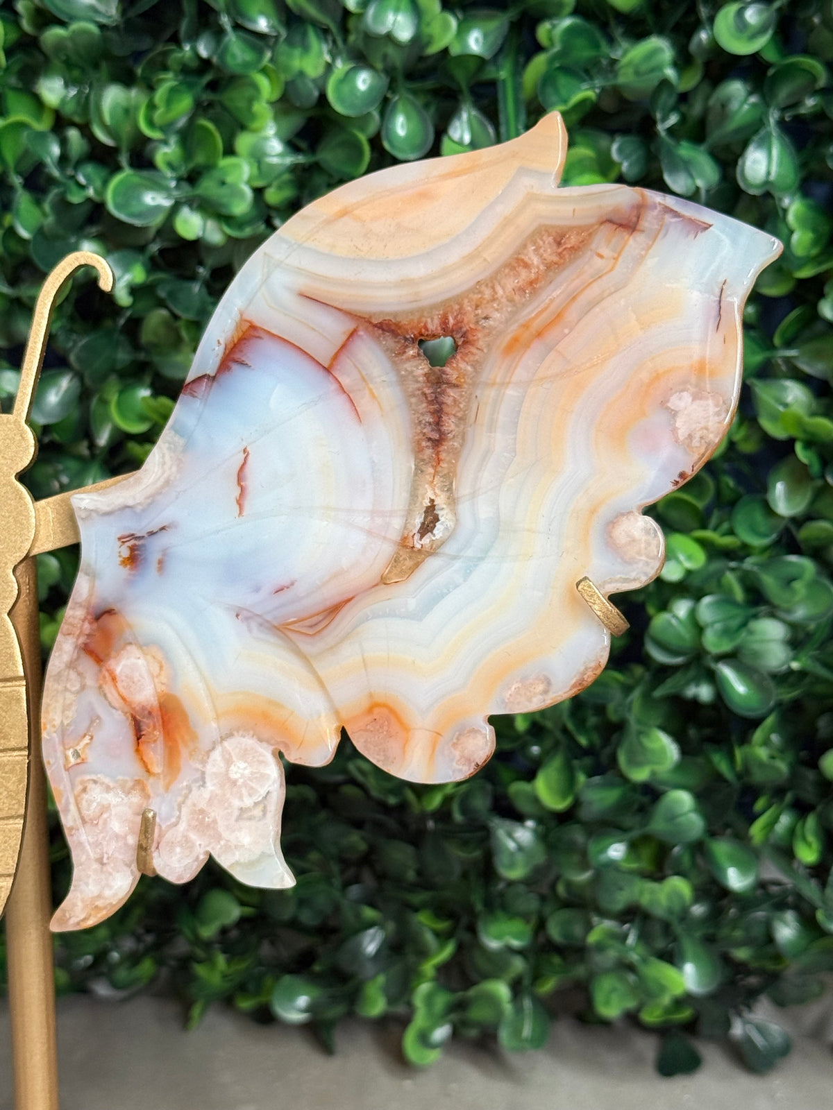 Carnelian Flower Agate Butterfly Wings Crystal Carvings - Medium Size - Z