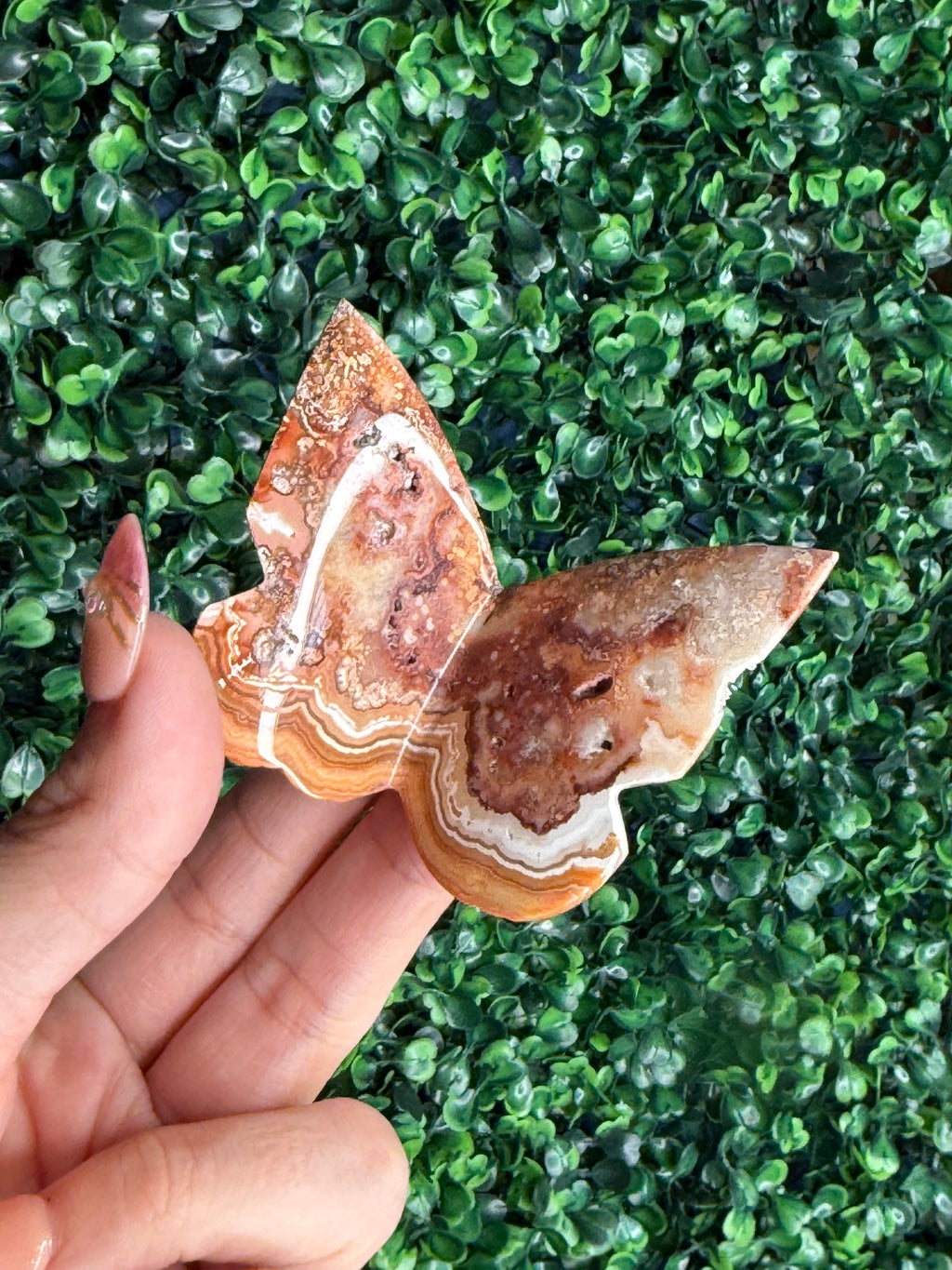 Crazy Lace Agate 3D Butterfly Crystal Carving from Indonesia D