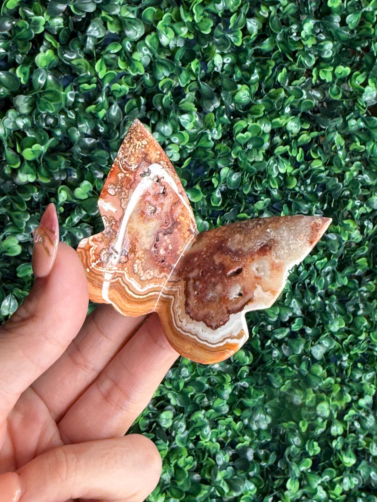 Crazy Lace Agate 3D Butterfly Crystal Carving from Indonesia D