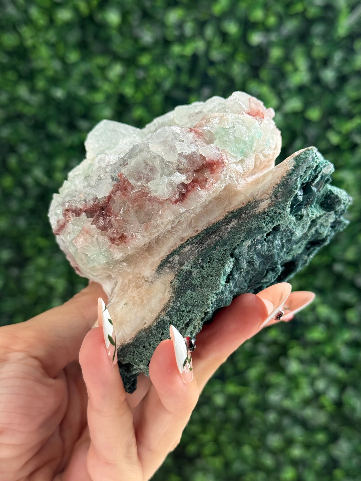 Marshy and Green Apophyllite Crystal Specimens from India