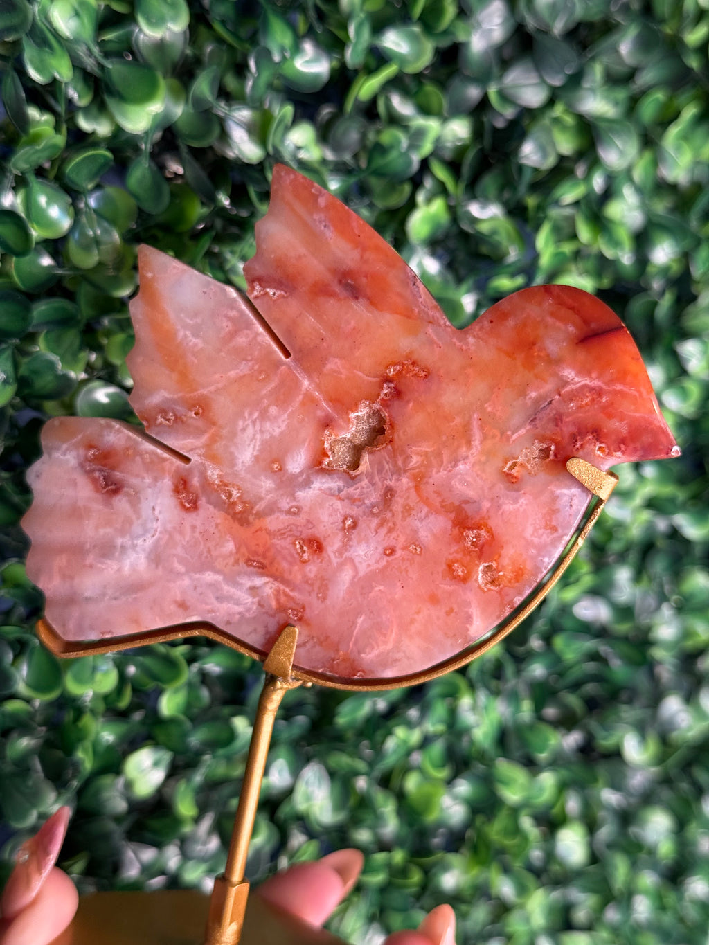 Pink Carnelian Bird Crystal Carving from Indonesia - A