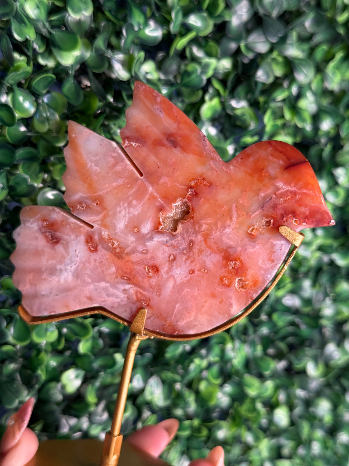 Pink Carnelian Bird Crystal Carving from Indonesia - A