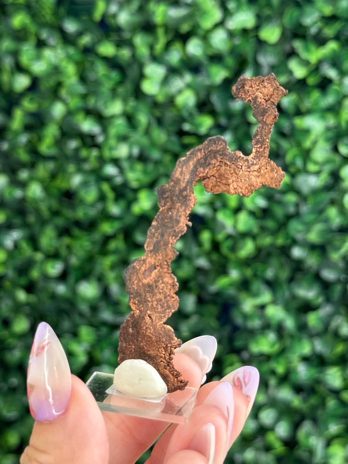 Native Copper Collection mined in the 70s Pearl Handle Pit Ray Mine AZ, US - D