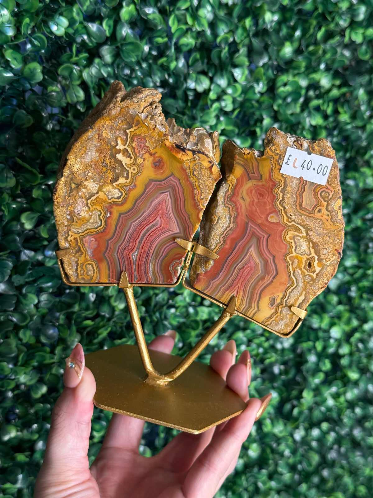 Colourful Crazy Lace Agate Slab Pair from Indonesia - L