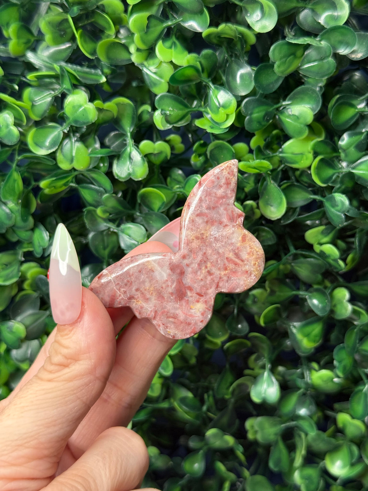 Strawberry Jasper Mini Butterfly Crystal Carvings - Pakistan